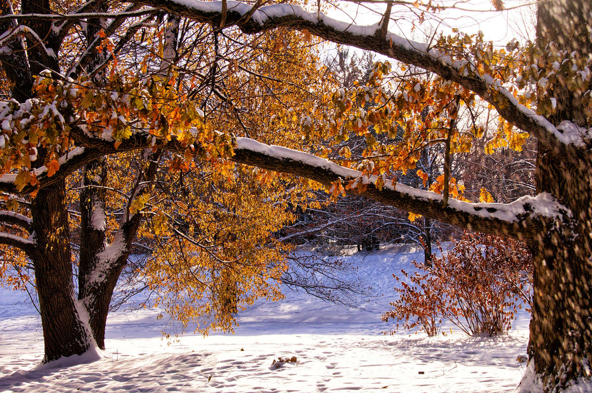 ����-������� ����� �������  �� PhotoGeek.ru #������ ��� �������