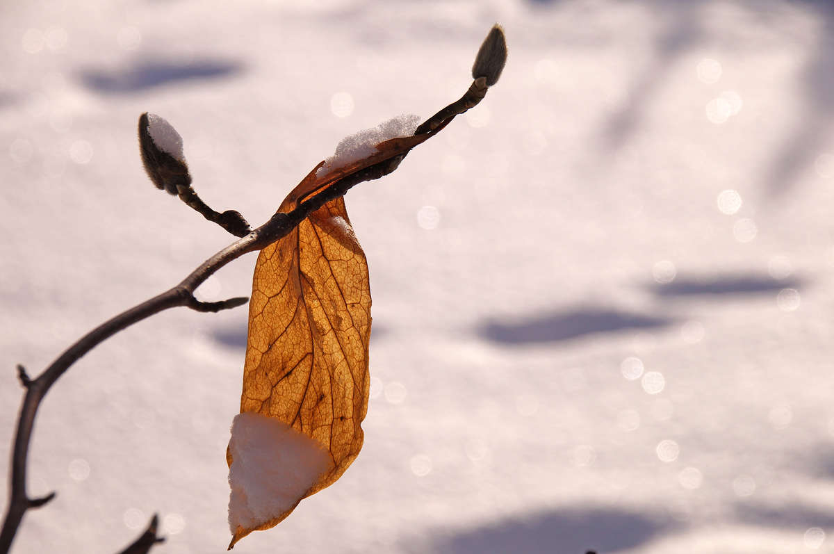 ����������� ����� �������  �� PhotoGeek.ru #������ ��� �������