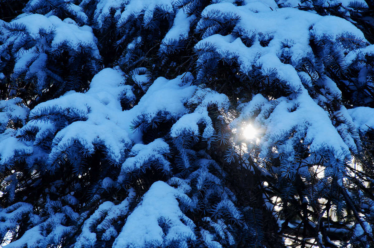 ������ ��������� ����� �������  �� PhotoGeek.ru #������ ��� �������