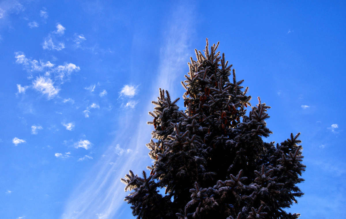 ������������� ����� �������  �� PhotoGeek.ru #������ ��� �������