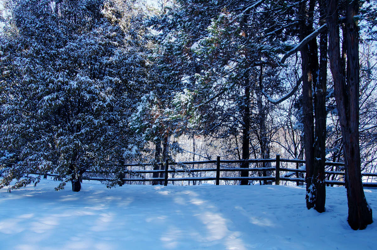 ����� � �������� ���� ����� �������  �� PhotoGeek.ru #������ ��� �������