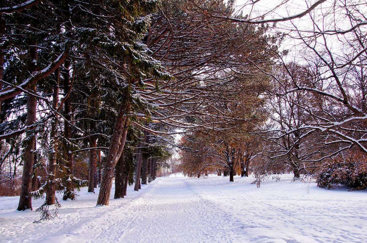����������� ����� �������  �� PhotoGeek.ru #�����