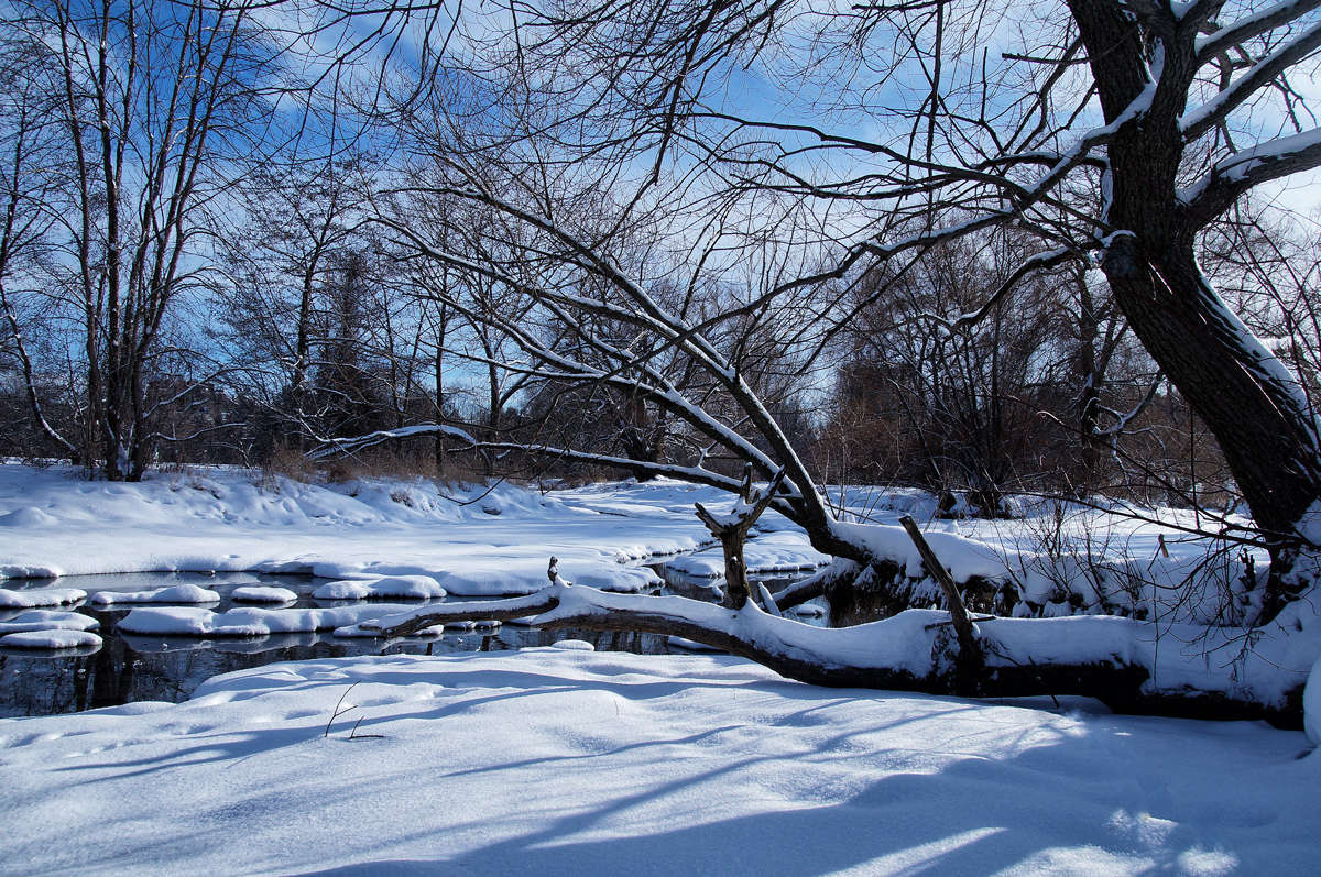 �������� ����� �������  �� PhotoGeek.ru #������ ��� �������