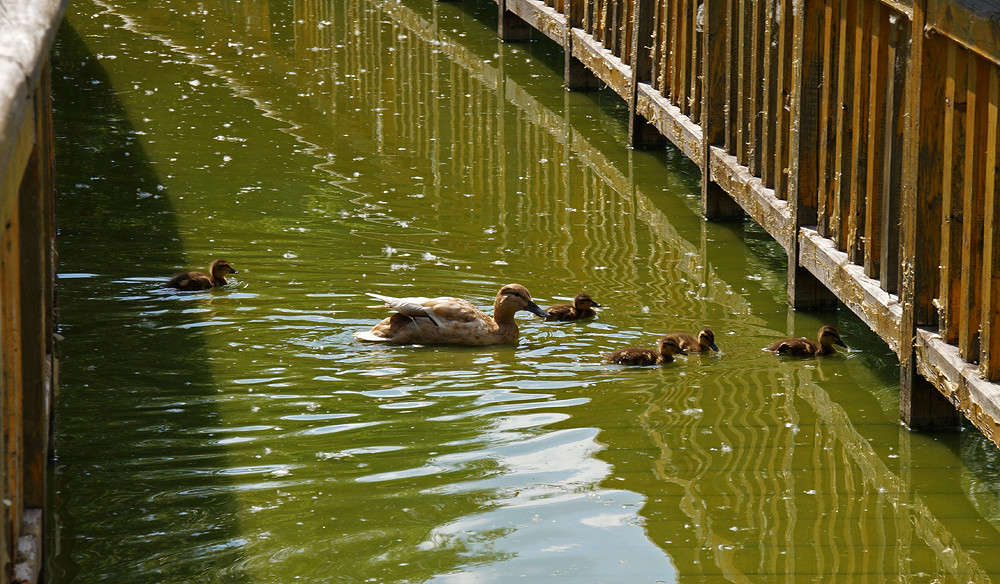 �� ����������� ����� ����� �������  �� PhotoGeek.ru #�������� ���