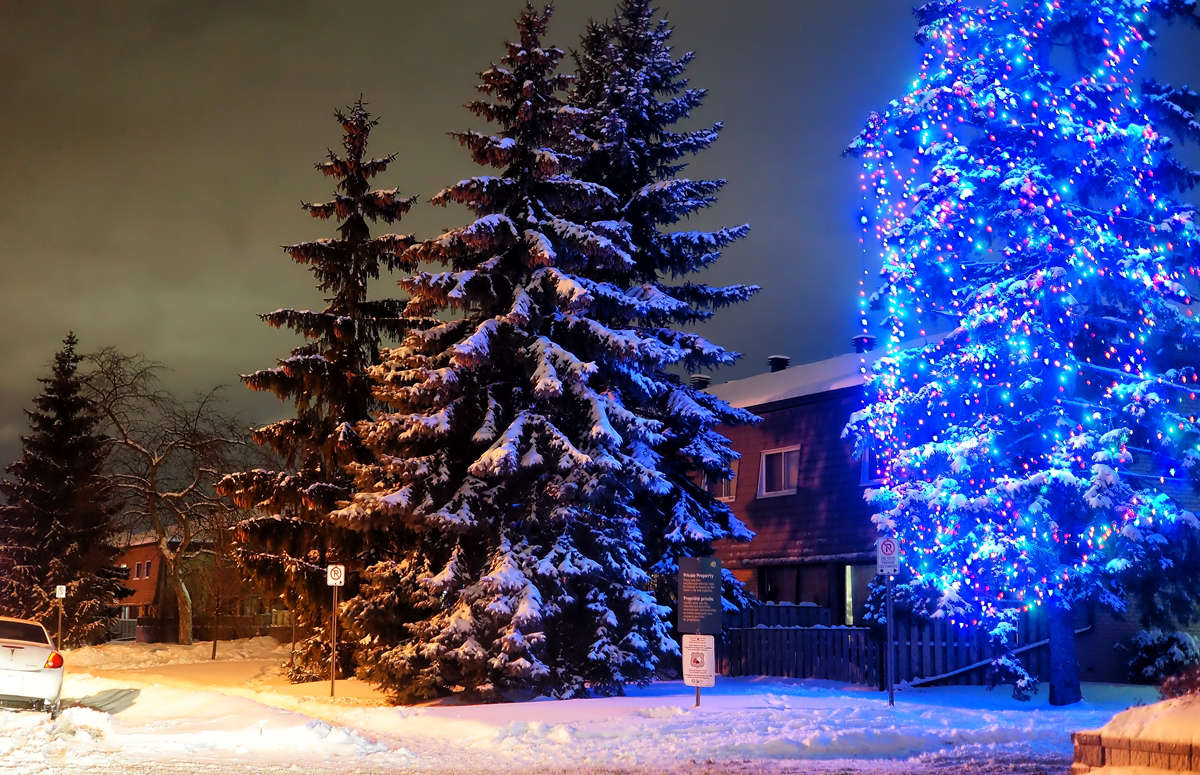������, ������������ �� ���� ����� �������  �� PhotoGeek.ru #�����