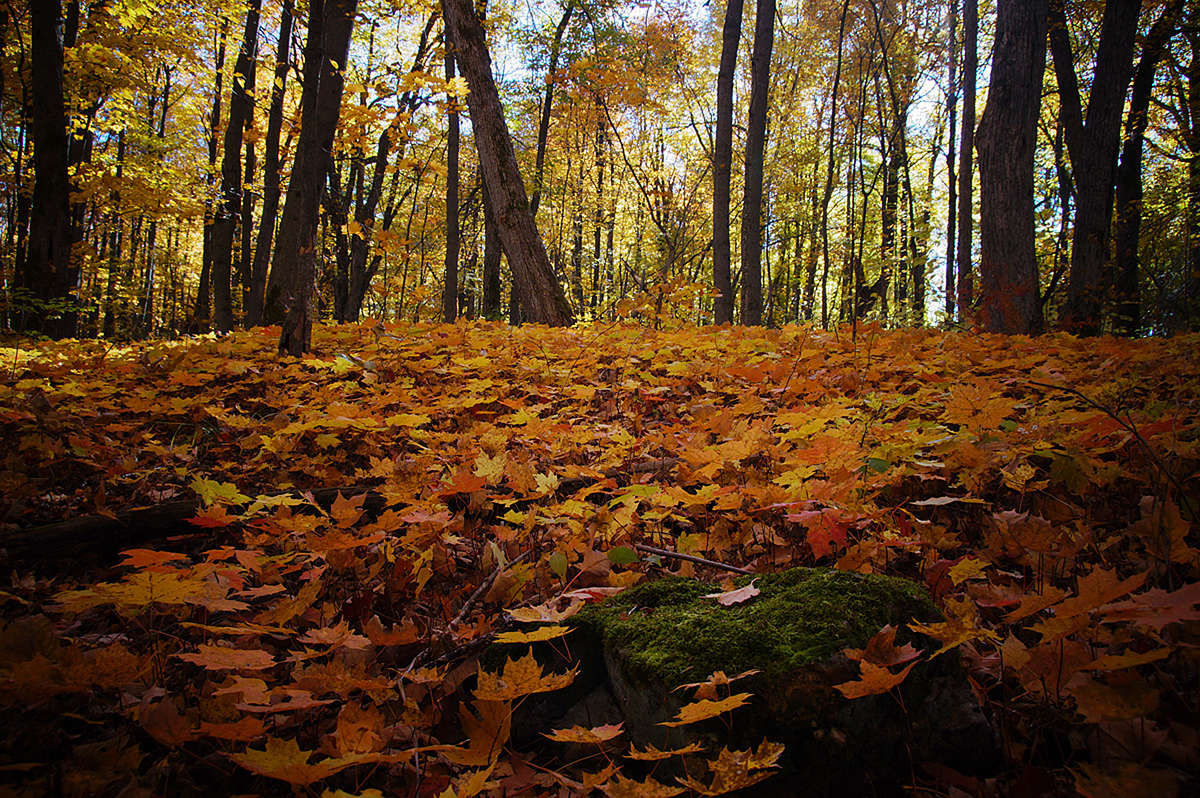 ��������� ������ ����� �������  �� PhotoGeek.ru #������ ��� �������