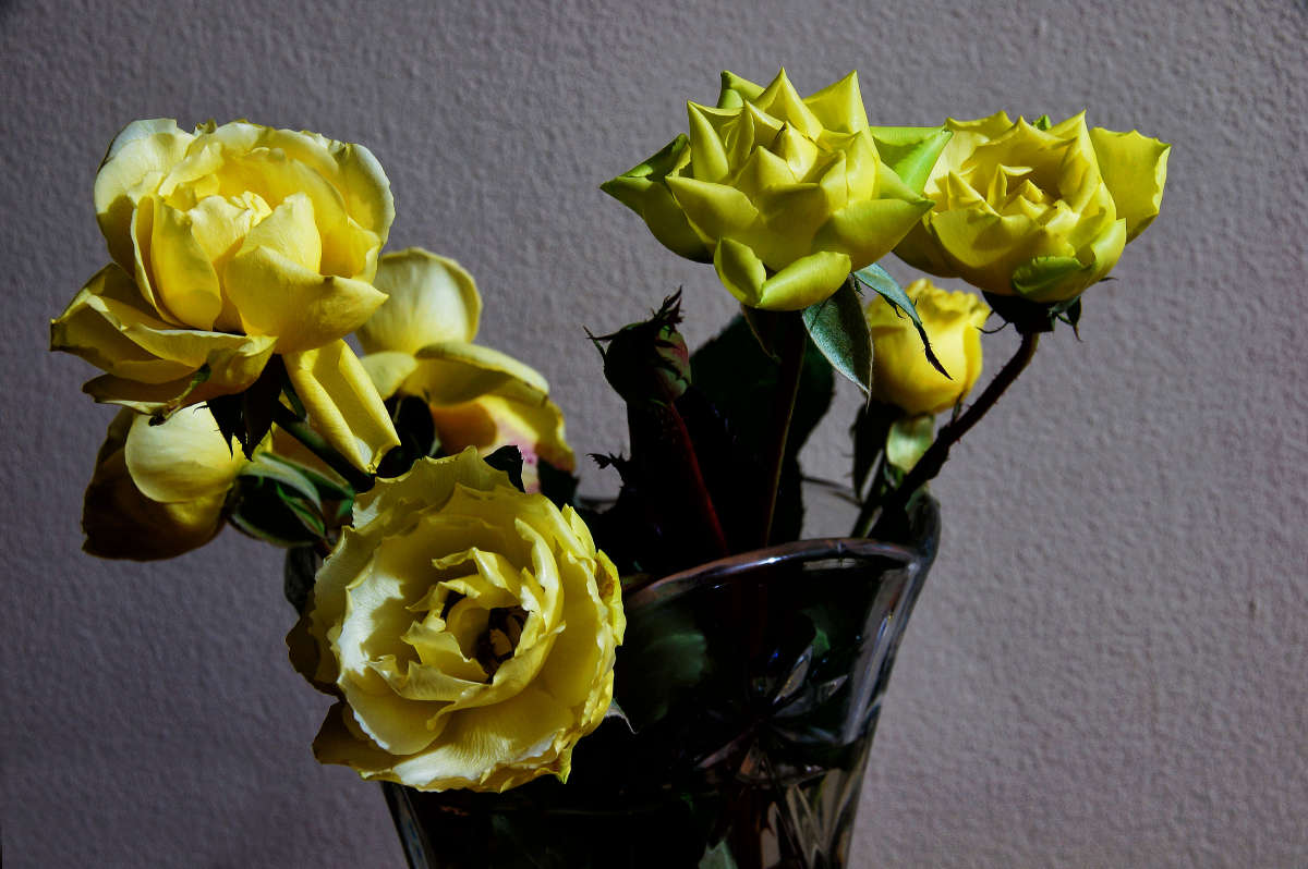 ������ ������ ����� �������  �� PhotoGeek.ru #������ ��� �������