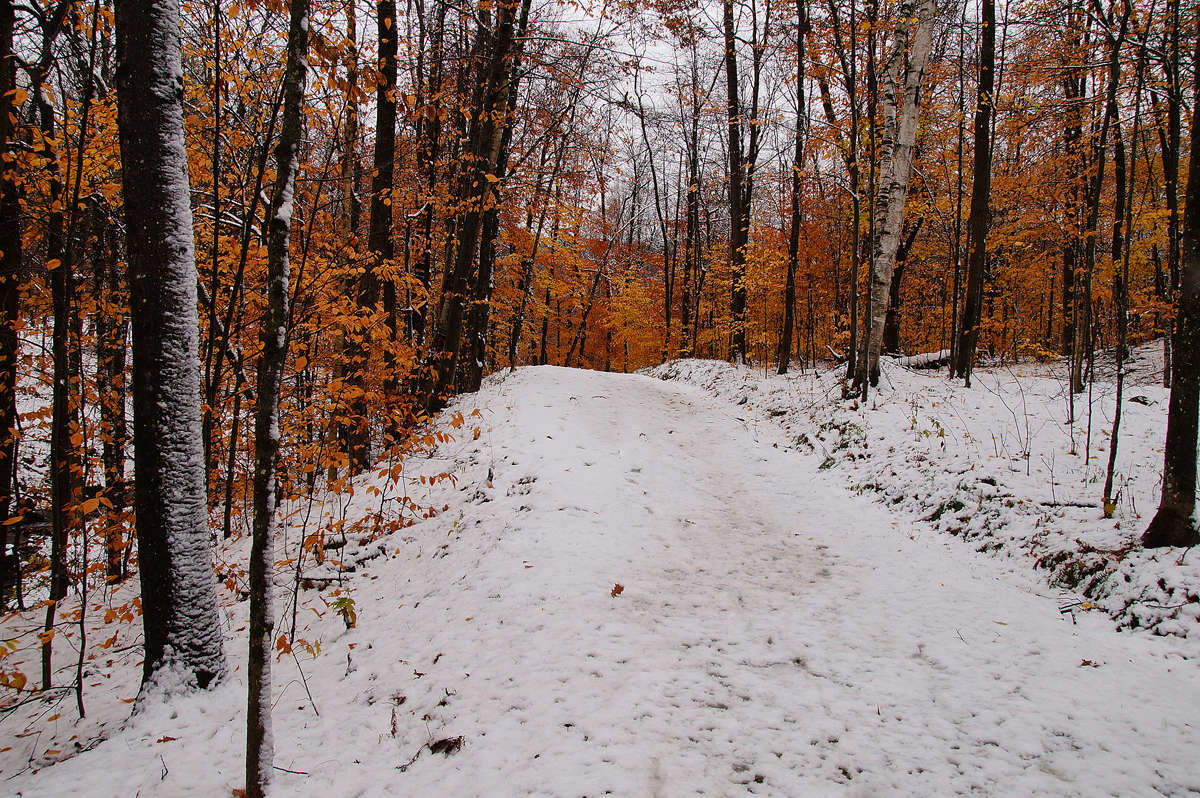 �������� ����� �� ������ ����� �������  �� PhotoGeek.ru #������ ��� �������