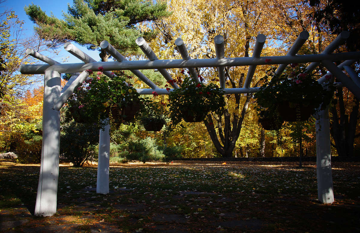 ��������� ������� ����� �������  �� PhotoGeek.ru #������ ��� �������