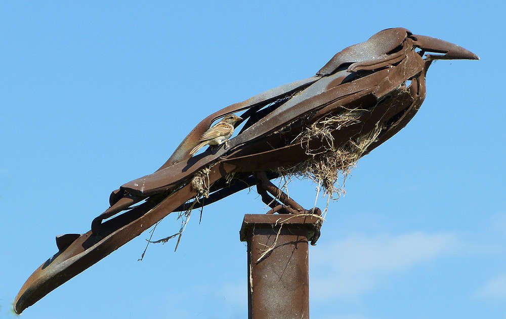 ��������� ����� �������  �� PhotoGeek.ru #�������� ���