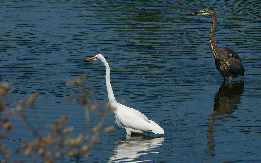 �������� ���� ����� �������  �� PhotoGeek.ru #�������� ���