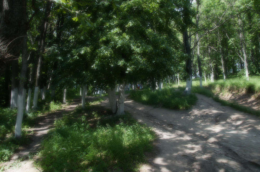 ����� � ������� ����� �������  �� PhotoGeek.ru #������ ��� �������
