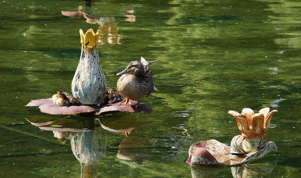 ����������� ����������� ����� �������  �� PhotoGeek.ru #�������� ���