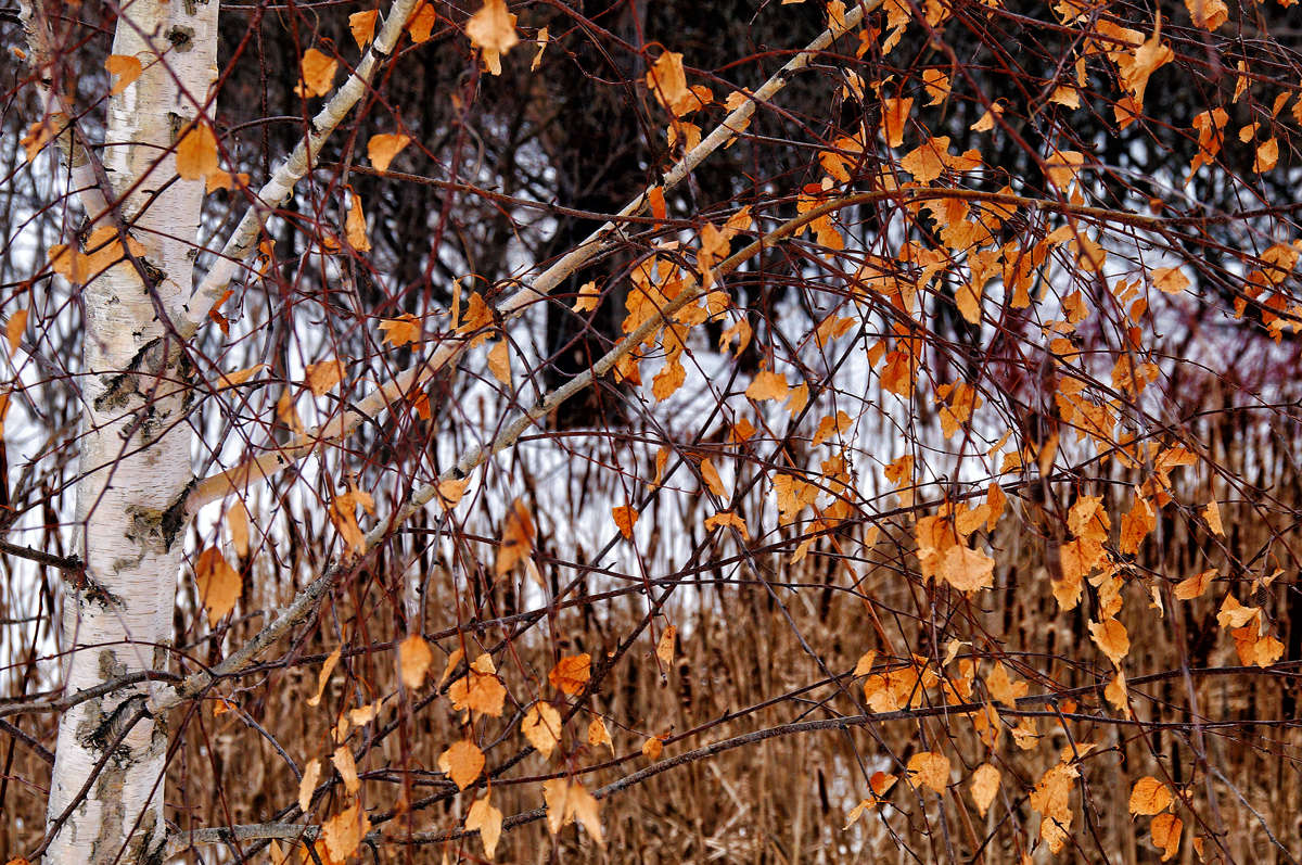 ������ ��� ������� ���� ����� �������  �� PhotoGeek.ru #������ ��� �������