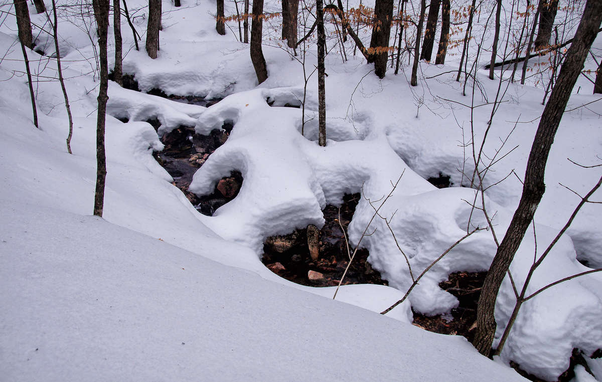 ��� ����? ����� �������  �� PhotoGeek.ru #������ ��� �������