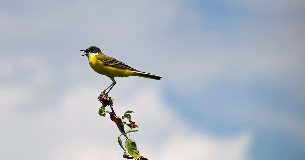 ����� ������, ������  ������� ����� �������  �� PhotoGeek.ru #�������� ���