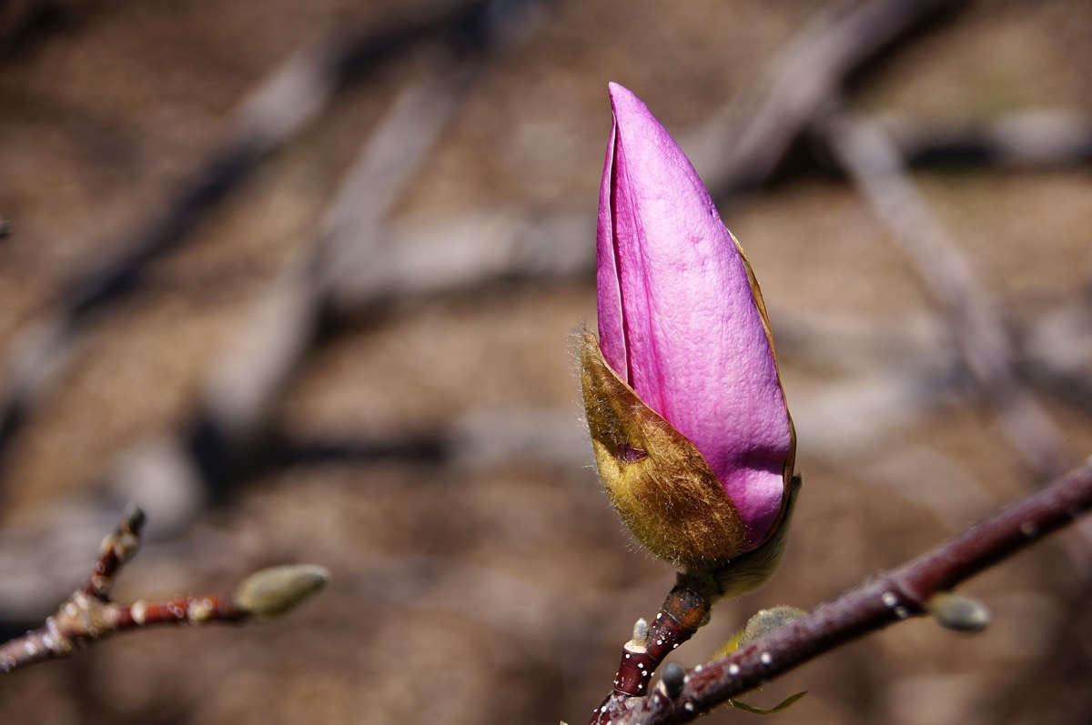 ����� �����! ����� �������  �� PhotoGeek.ru #������ ��� �������