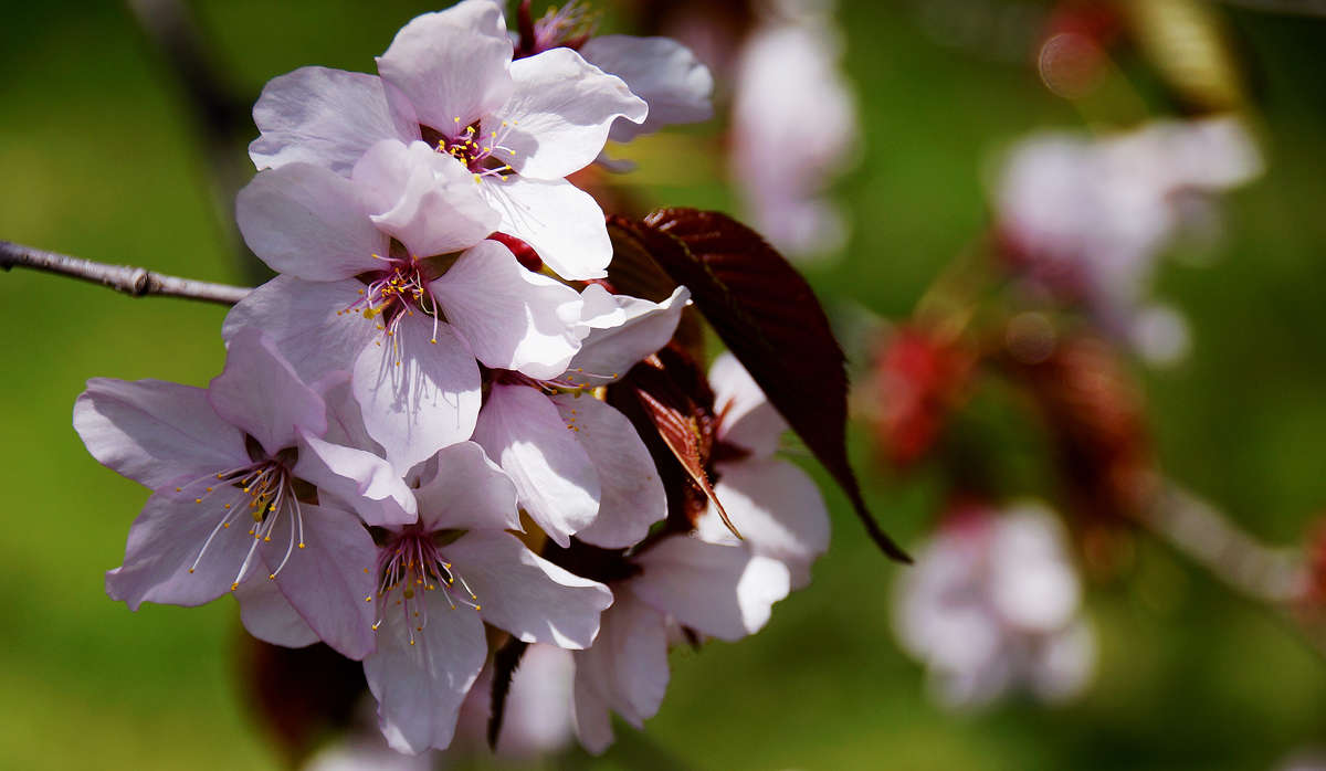 �� ���� �� ������ ������ ����� �������  �� PhotoGeek.ru #������ ��� �������