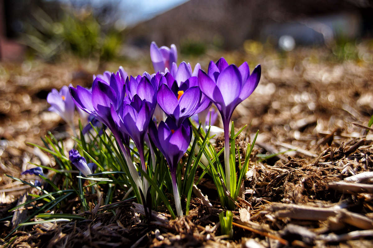 ������� ������ ����� �������  �� PhotoGeek.ru #������ ��� �������