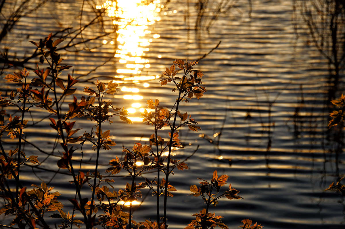 � ������ �������� ����� �������  �� PhotoGeek.ru #������ ��� �������