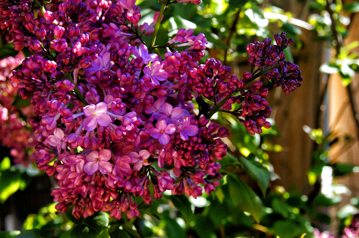 �������������� ����� �������  �� PhotoGeek.ru #������ ��� �������