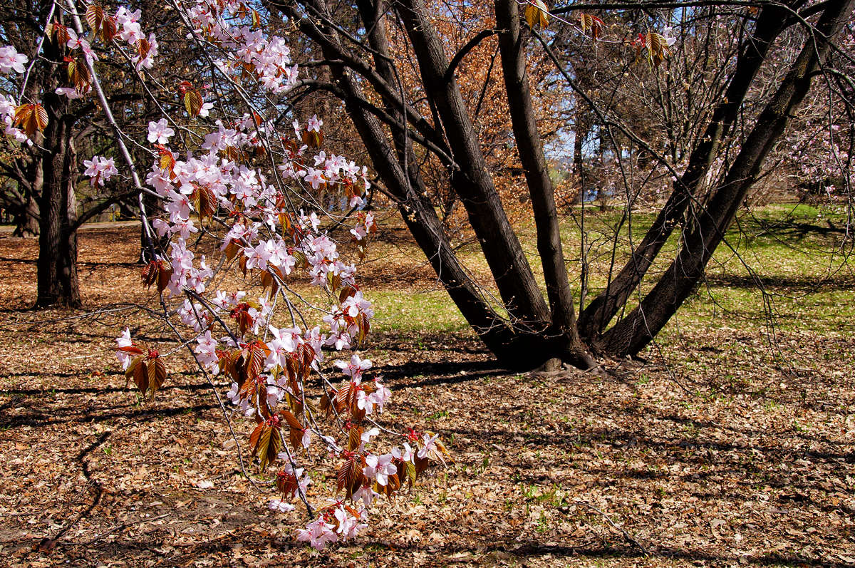 ����� ��������� ����� �������  �� PhotoGeek.ru #������ ��� �������