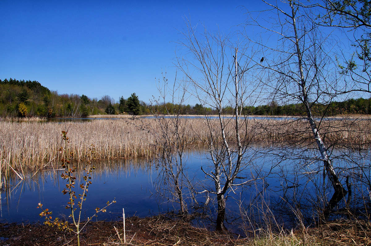 ����� ������ ��� �� �������� ����� �������  �� PhotoGeek.ru #������ ��� �������