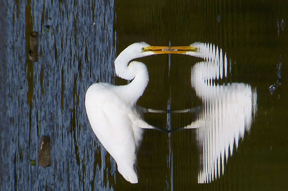 ��� ���������? ����� �������  �� PhotoGeek.ru #�������� ���