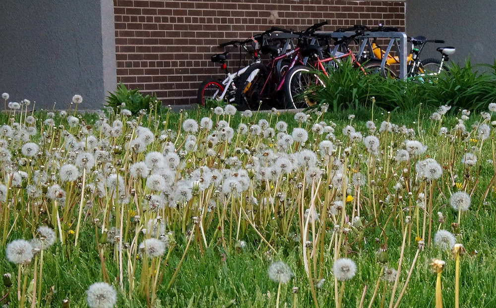 �� ������ ����� ����� �������  �� PhotoGeek.ru #�����