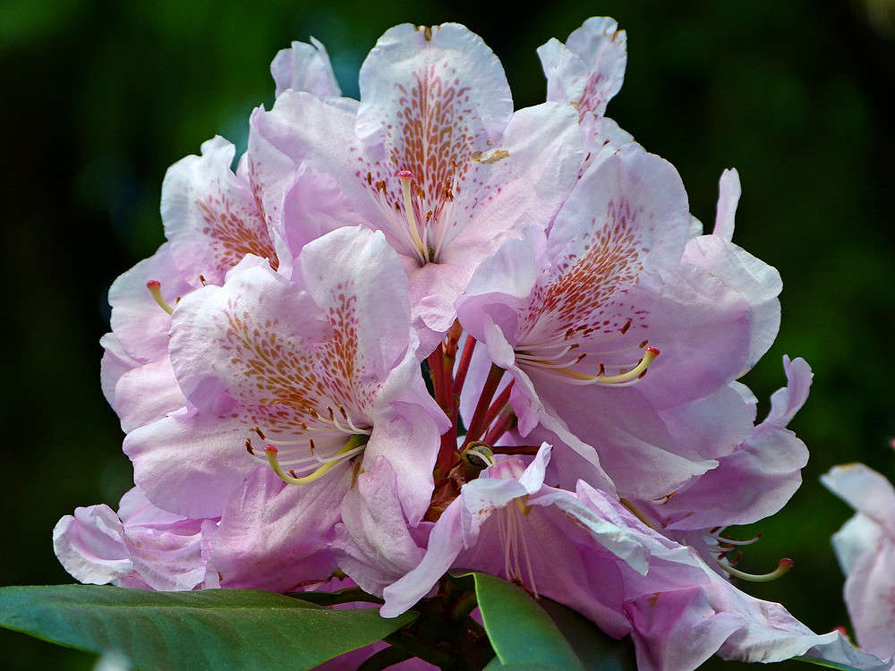 ������������ ������������� ����� �������  �� PhotoGeek.ru #������ ��� �������