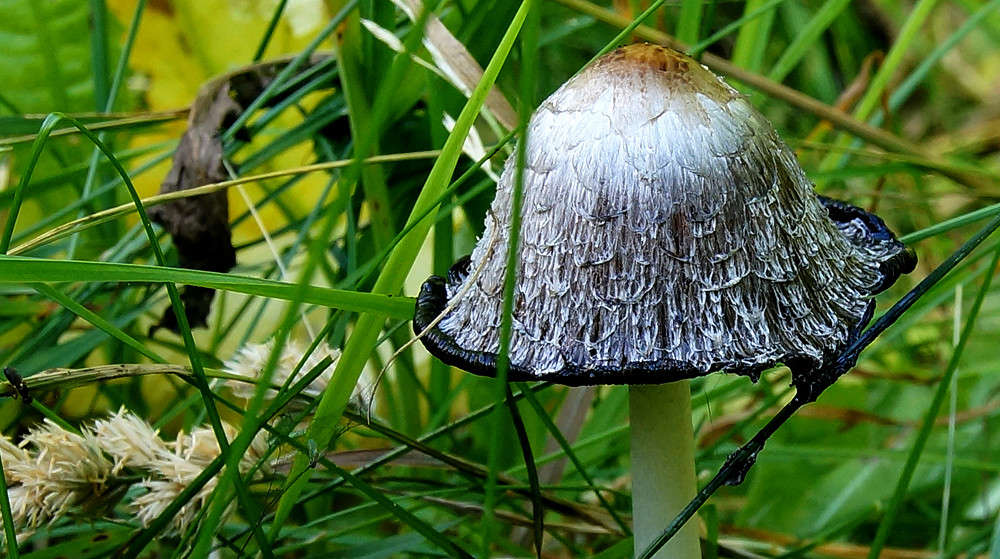 �������� ����� �������  �� PhotoGeek.ru #������ ��� �������