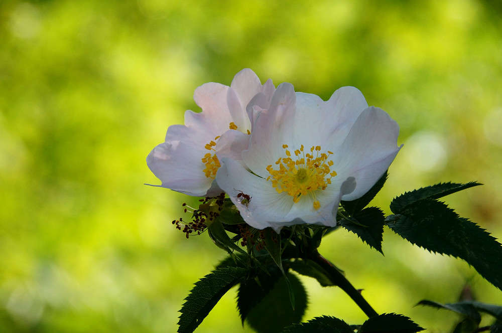 ���������� ������� ����� �������  �� PhotoGeek.ru #������ ��� �������