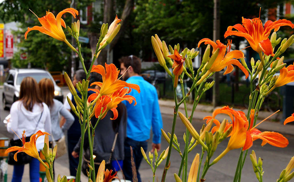 ����� ��������� ����� �������  �� PhotoGeek.ru #�����