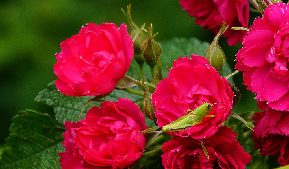 �������� ����� �������  �� PhotoGeek.ru #�������� ��� #������ ��� �������