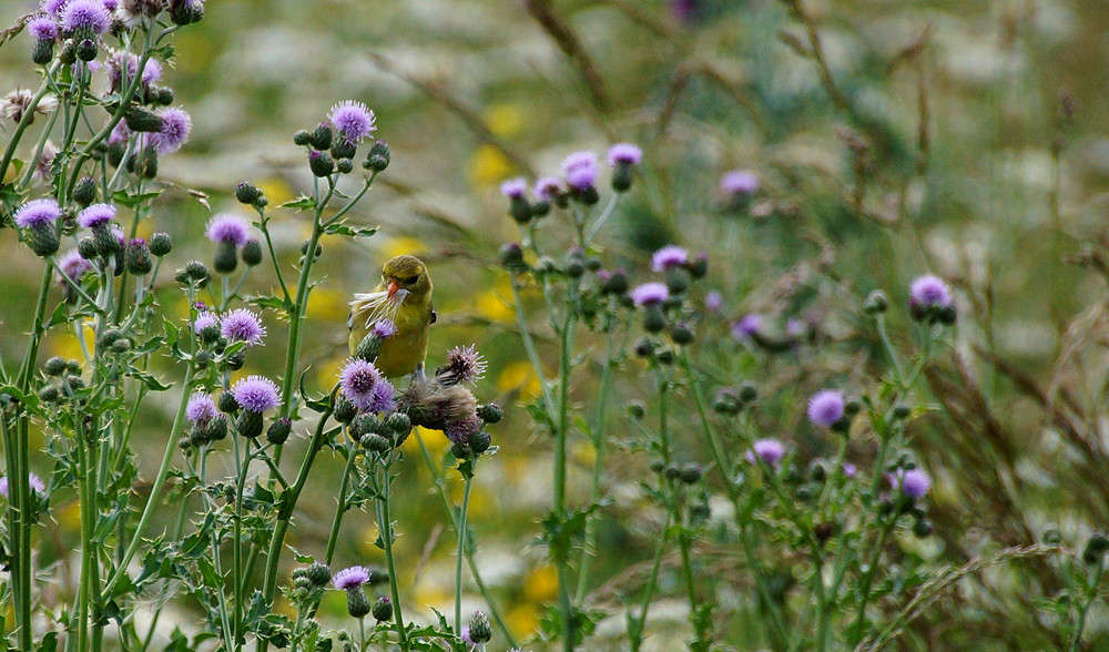 ���������� ����� �������  �� PhotoGeek.ru #�������� ���