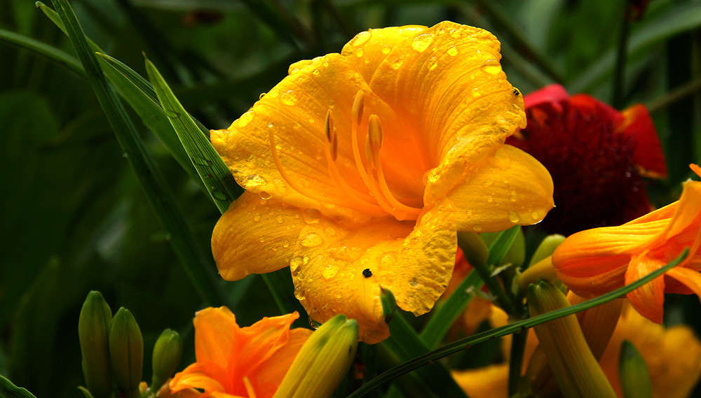 ������� ���� ���� ����� ����� �������  �� PhotoGeek.ru #������ ��� �������