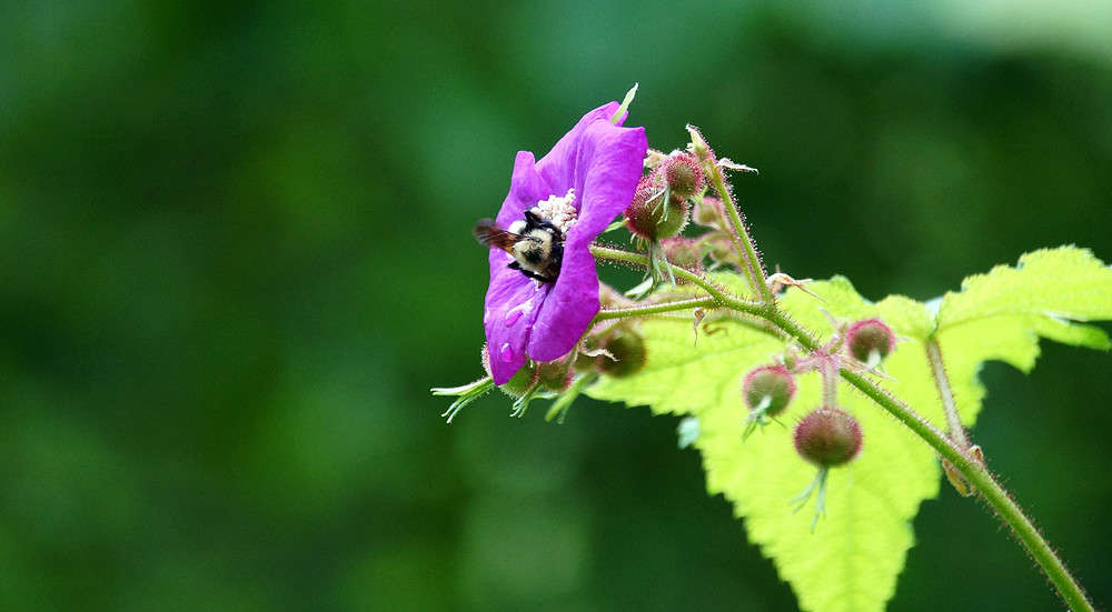 ������� ������ ����� �������  �� PhotoGeek.ru #������ ��� �������