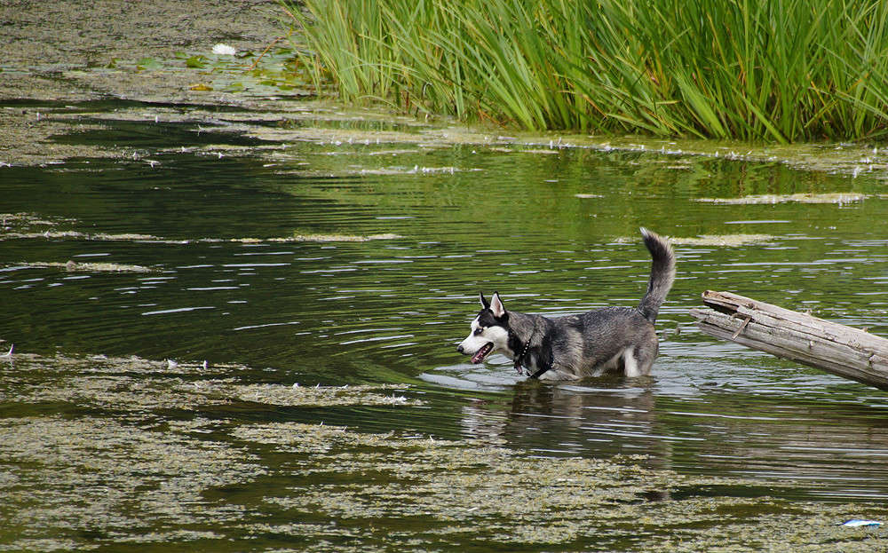 �� ������� ����� �������  �� PhotoGeek.ru #�������� ���