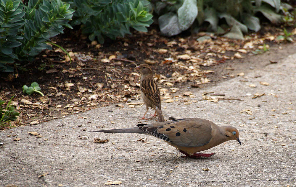 ���������� ����� ����� �������  �� PhotoGeek.ru #�������� ���