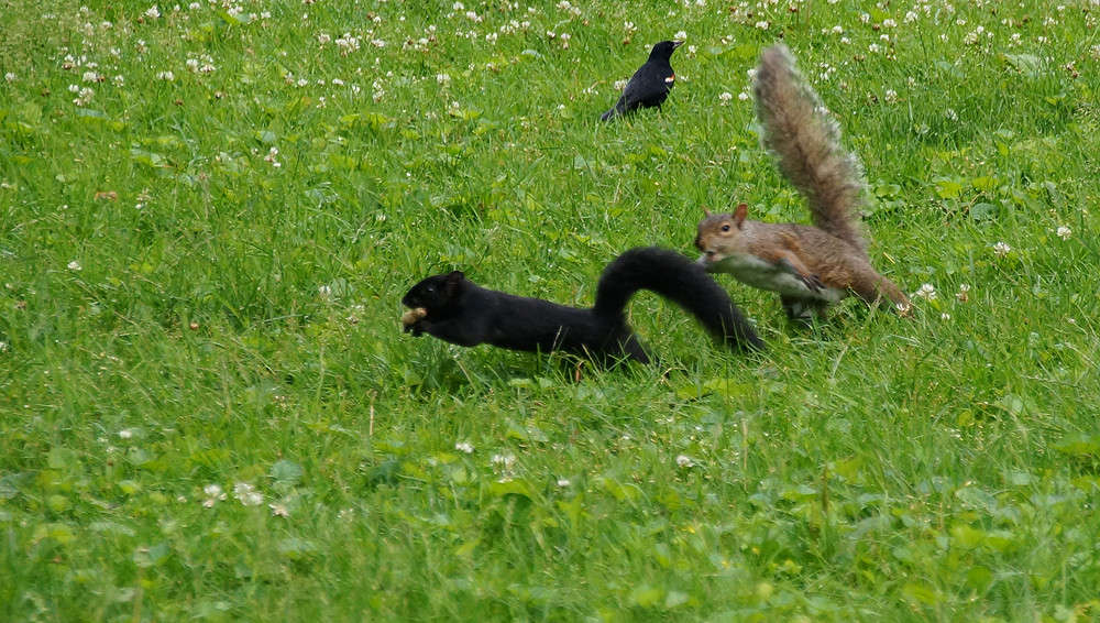 ���� ����� ������ ����� �������  �� PhotoGeek.ru #�������� ���