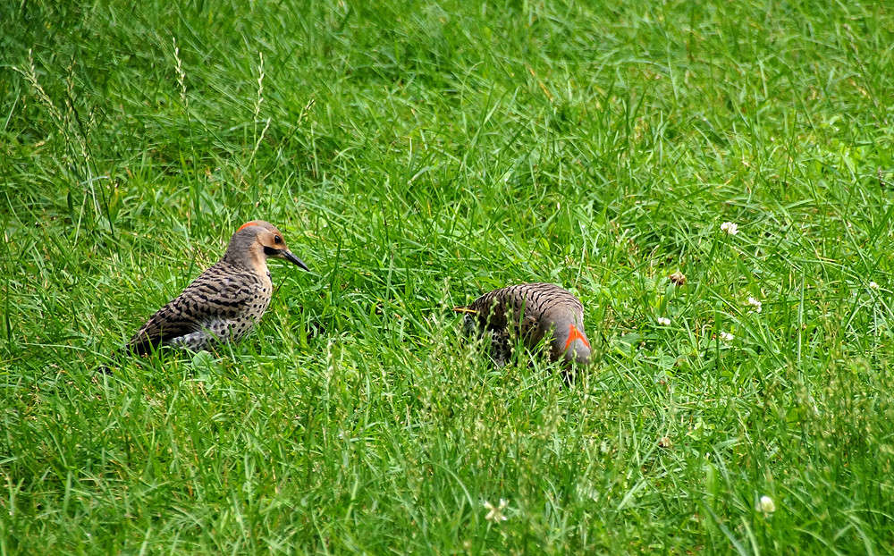 ����� ������ �������� ����� �������  �� PhotoGeek.ru #�������� ���