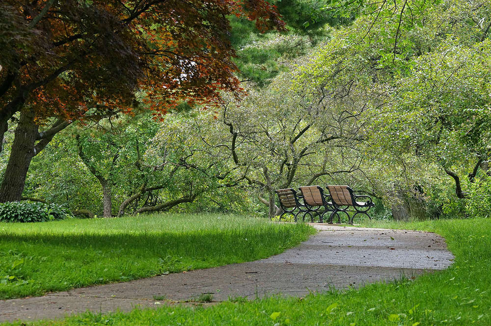 High Park ����� �������  �� PhotoGeek.ru #������ ��� �������