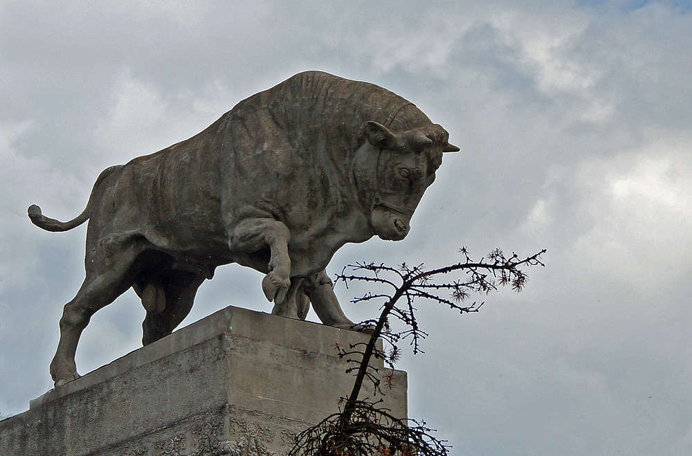 ������� �������� ����� �������  �� PhotoGeek.ru #�����