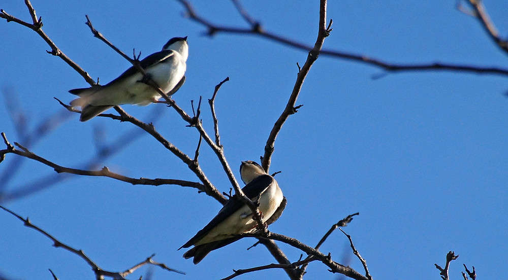 ��� ������� � �� ���� ����� �������  �� PhotoGeek.ru #�������� ���