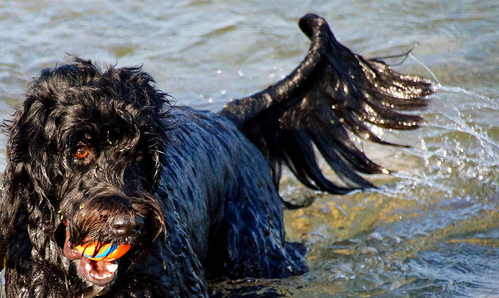 ���������� ����� �������  �� PhotoGeek.ru #�������� ���