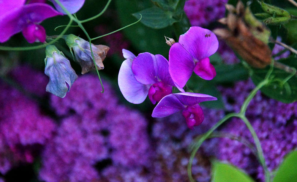 �������� ������� ����� �������  �� PhotoGeek.ru #������ ��� �������