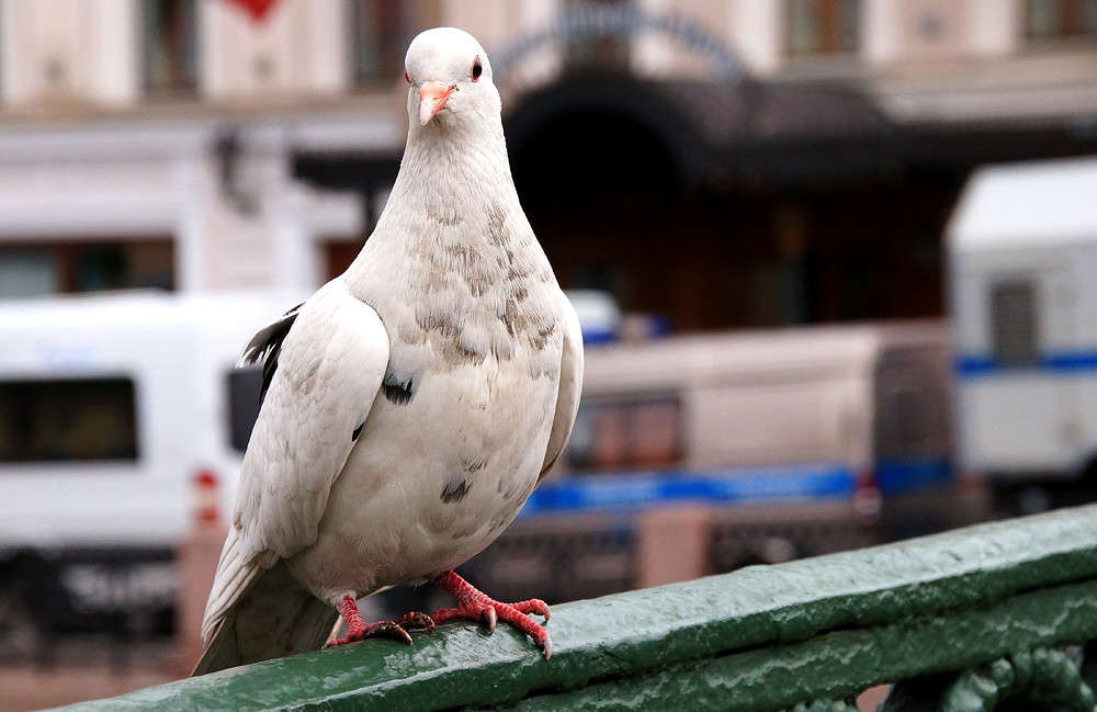 ��������� ����� �������  �� PhotoGeek.ru #�������� ���