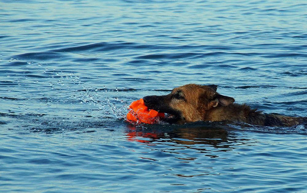 ������ ���� �� ������� ����� �������  �� PhotoGeek.ru #�������� ���