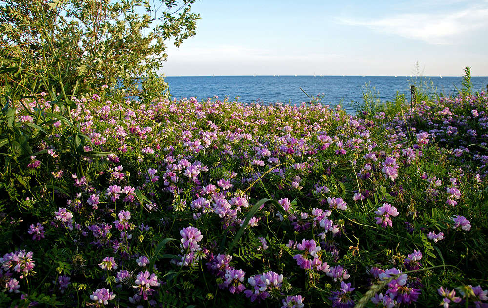 �������������� ����� �������  �� PhotoGeek.ru #������ ��� �������