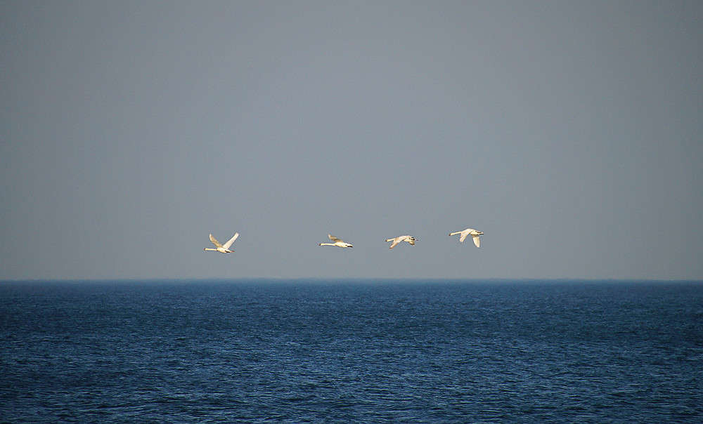 ���� �� ������ �� �������� ����� �������  �� PhotoGeek.ru #�������� ���